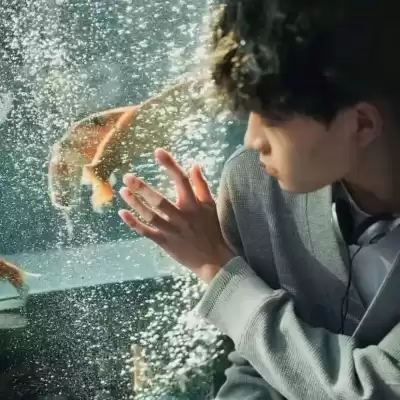 梁淼淼