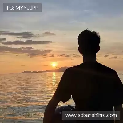 梅鹃仪